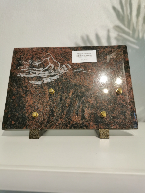 16480471335556294054850036947248