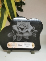 16480490331563702509973207916404