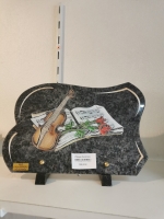 16480487829948988863109727012540