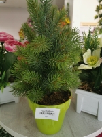 16479559079093794028858949941976