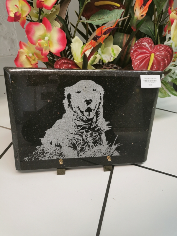 16515677984203597166635914467883