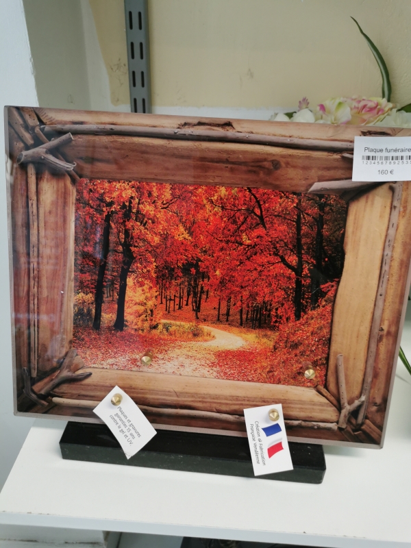 16515683977759178373483908934433