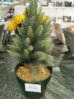 16500263287489153620177284097662