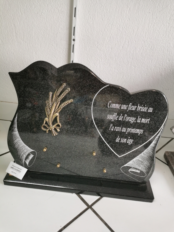 16499428352652644615644354067736