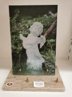 16499393270624080845366308097639