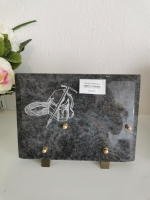 16499383319651558627307742177786