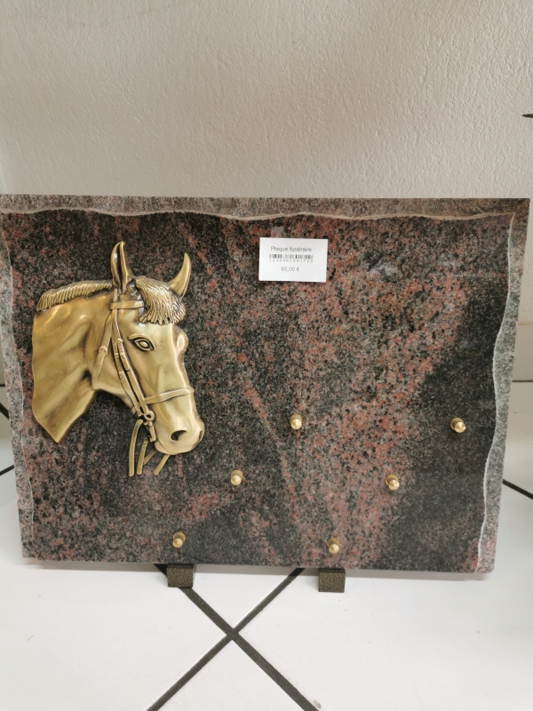 16499419697134979664830958583136